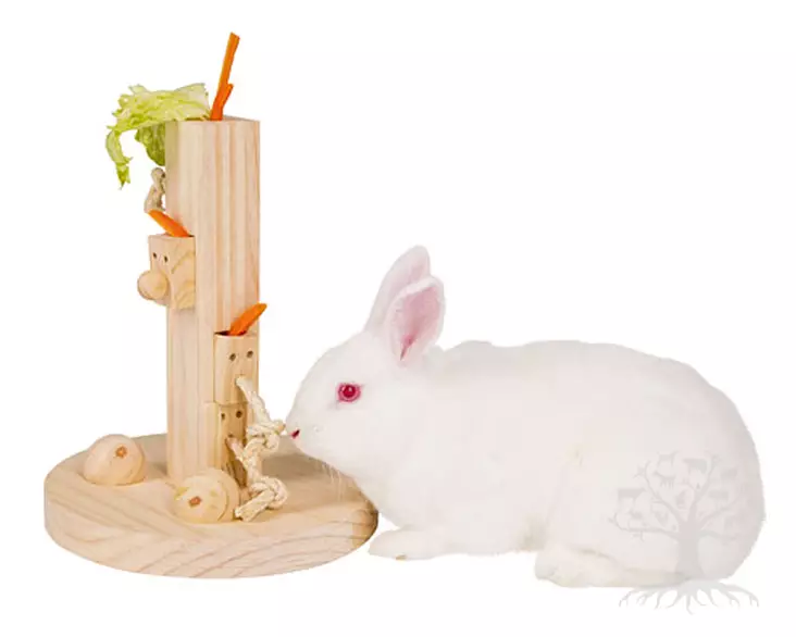 Petit Line Herkkupuu Jyrsijän Aktivointilelu - Activation - 81764 - 1