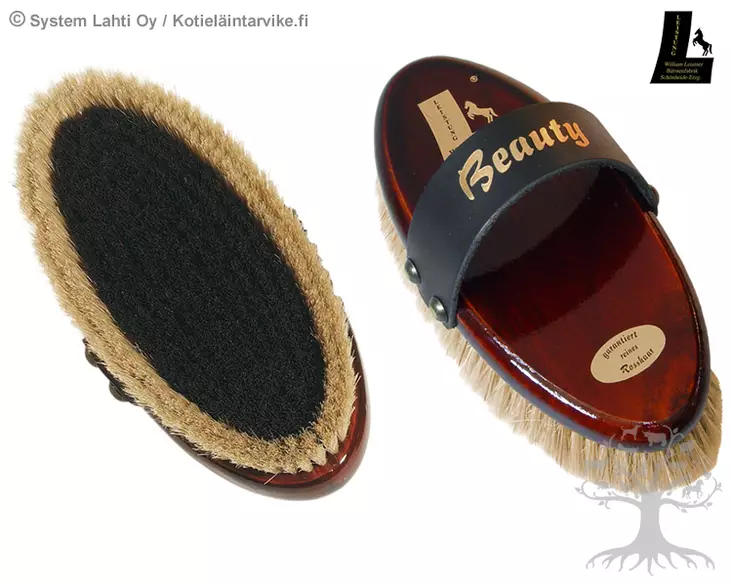 William Leistner Beauty 1c54 - WILLIAM LEISTNER -harjat - WL1c54 - 4