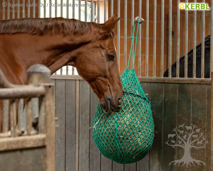 Kerbl Heinäverkko Hay Net with Ring - Heinäverkot, Heinäpussit - 3230534 - 1