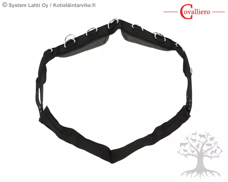 Covalliero Lunging Belt Lunge - Lunging Rollers - 32354 - 1