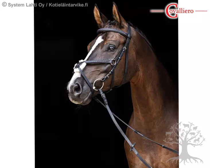 Covalliero Meksikolaiset Suitset + Ohjat Cancun - Suitset - 3297734 - 1