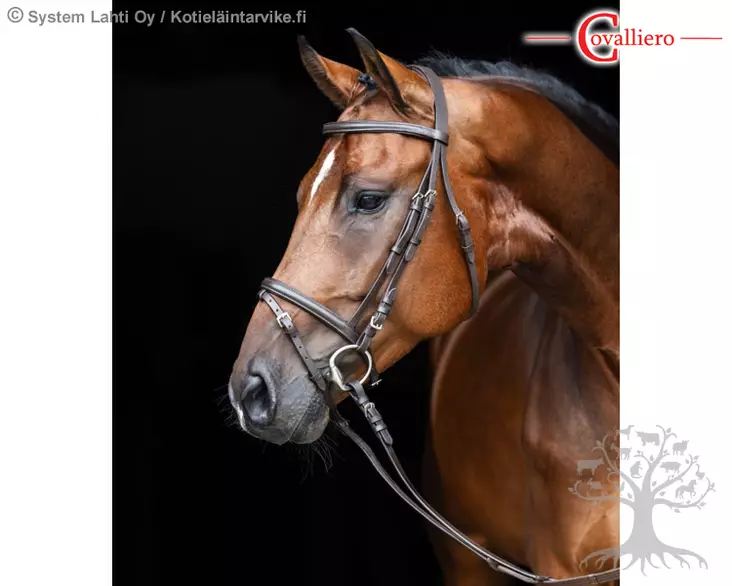 Covalliero Bridle Standard Brown - Bridles - 321714 - 1