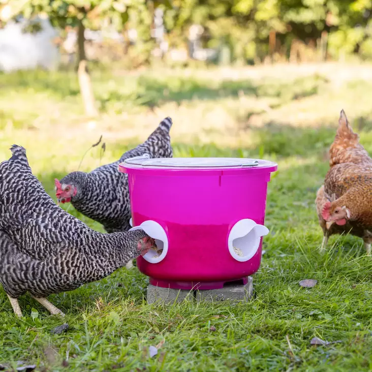 Kerbl Kanojen Ruokinta-automaatti Bucket 12 L - Ruokinta-automaatit - 70204 - 1