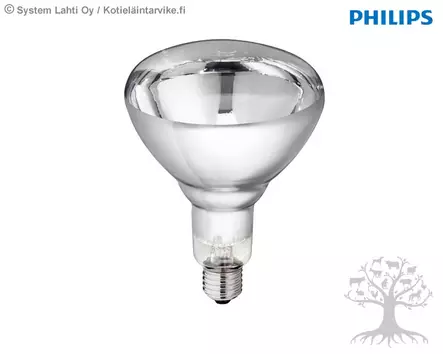 Philips Lämpölamppu, kirkas - Lämpölamput, suojakuvut - 22315 - 1