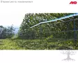 AKO Fencing Net WildNet 90 - Wild and Wolf Nets - 27215 - 3