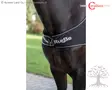 Covalliero Kävelytysloimi Walking RugBe - Ratsastusloimet, Kävelytysloimet - 3228275 - 4