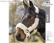 Equiline Riimu Safety Halter Terris - Equiline Halter & Lead Ropes - E00125 - 8
