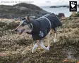 Hurtta Dog Jacket Extreme Warmer - Quilted Coats - 933795 - 2