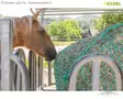Kerbl Heinäverkko Pyöröpaalille Hay Net for Round Bales Hangable - Heinäverkot, Heinäpussit - 321605 - 7
