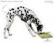 Kerbl Pet Aktivointilelu Puzzle - Aktivointilelut - 80815 - 5