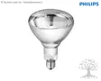 Philips Infrared Lamp, Clear - Heating Lamps - 22315 - 1