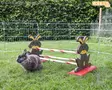 Kerbl Pet Rodent Obstacle Agility - Rabbit Agility - 82855 - 2