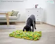 Kerbl Pet Kätkömatto Sniff 70x50cm - Aktivointilelut - 80785 - 5