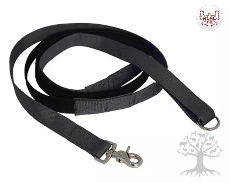 Alac Elastic Talutin Black 25mm, 260cm - Nylon Leashes - 615.7115 - 1