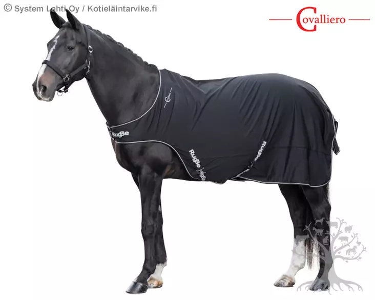 Covalliero Kävelytysloimi Walking RugBe - Ratsastusloimet, Kävelytysloimet - 3228275 - 1