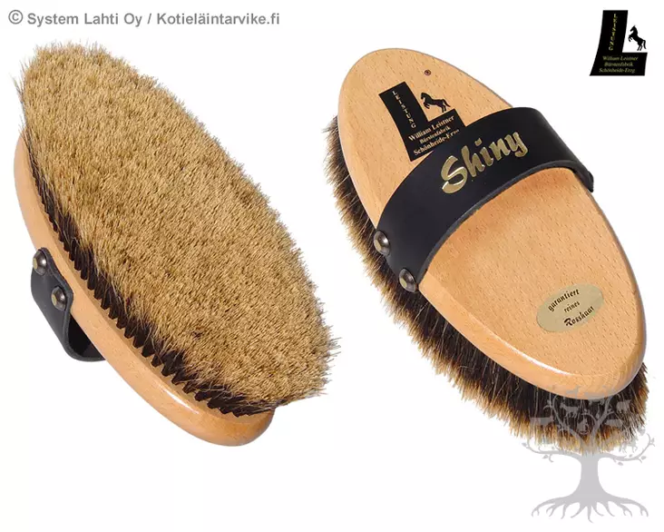 William Leistner Shiny 1c55 - WILLIAM LEISTNER -harjat - WL1c55 - 3