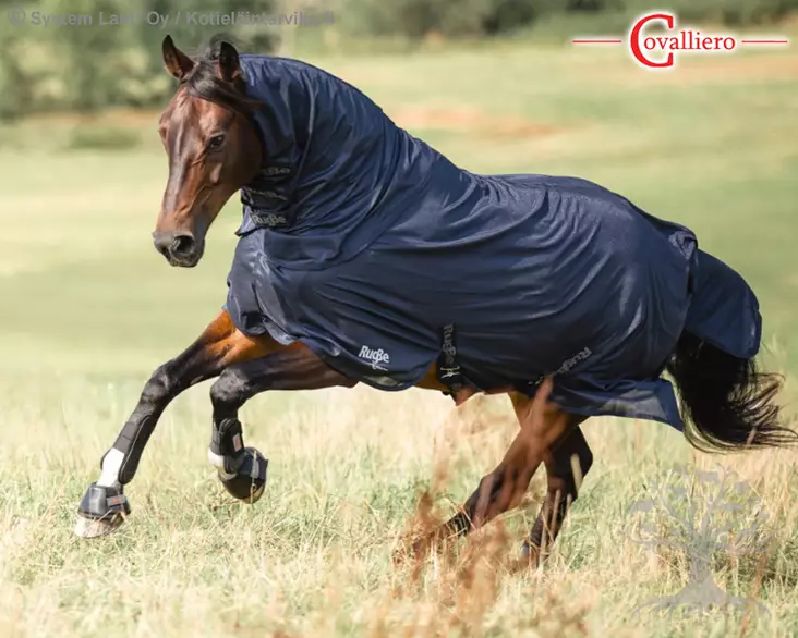 Covalliero Hyönteisloimi SuperFly Navy - Hyönteisloimet, Ihottumaloimet - 3230225 - 1