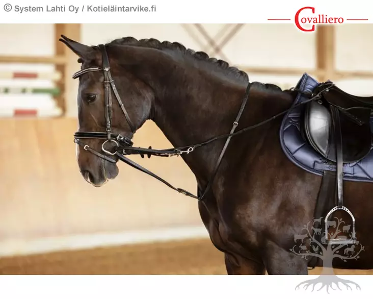Covalliero Thiedemann Apuohjat, Pony - Side & Draw Reins - 323595 - 1
