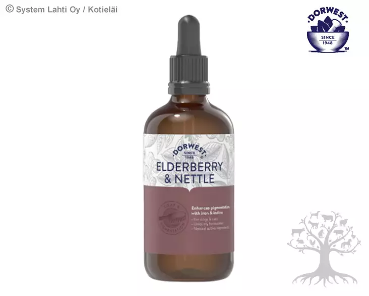 Dorwest Selja-nokkosuute 100ml - Maintaining Health - 06-0-EN125 - 2