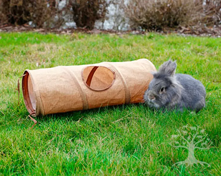 Kerbl Pet Pellava Jyrsijän Tunneli 50cm - Activation - 81775 - 1