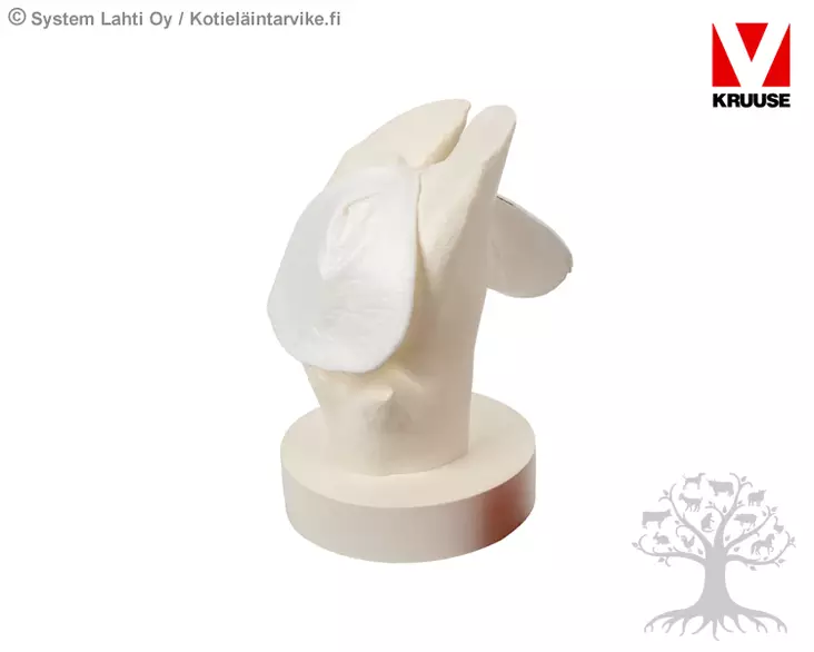 Kruuse Haavataitos Sorkkaan 50kpl - Sorkkasukat ja siteet - 220425 - 1