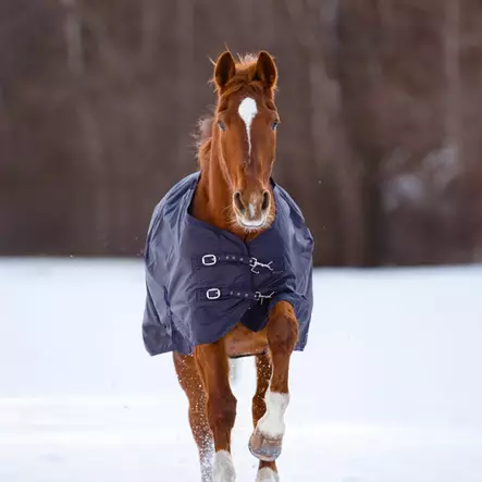 Covalliero Sadeloimi Outdoor Blanket RugBe Zero 0 g - Sadeloimet, Välikausiloimet - 3226346 - 2