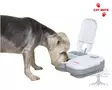 Cat Mate © C200 Ajastettava Ruokinta-automaatti - Feeding & Drinking Machines - 80896 - 6