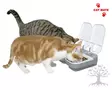 Cat Mate © C200 Ajastettava Ruokinta-automaatti - Feeding & Drinking Machines - 80896 - 4
