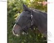 Covalliero Kärpäshuppu Riimulla Fly Mask with Halter - Kärpäshuput, Turpasuojat - 3228236 - 3