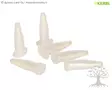 Kerbl Teat Tips 6pcs - Milk Catheters, Cannulas - 1566 - 1
