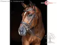 Covalliero Bridle Clincher Brown - Bridles - 3230196 - 1