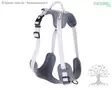 Kerbl Pet Harness Fitty - Dog Y-/H Shape Harnesses - 85756 - 1