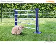 PetitLine Combo Agilityeste Kaneille - Rabbit Agility - 82866 - 6