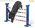 PetitLine Combo Agilityeste Kaneille - Rabbit Agility - 82866 - 2