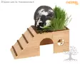 Kerbl Pet Rodent House With Roof Garden Nature - Rodent Houses & Cottages - 82746 - 2