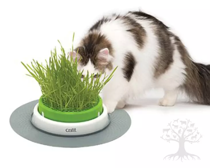 Catit Senses 2.0 Ruohomoduuli - Aktivointilelut - 787.0156 - 1