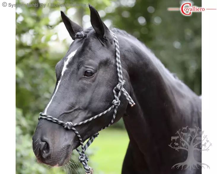 Covalliero Naruriimu Knotted Black Grey - Naruriimut - 3297746 - 1