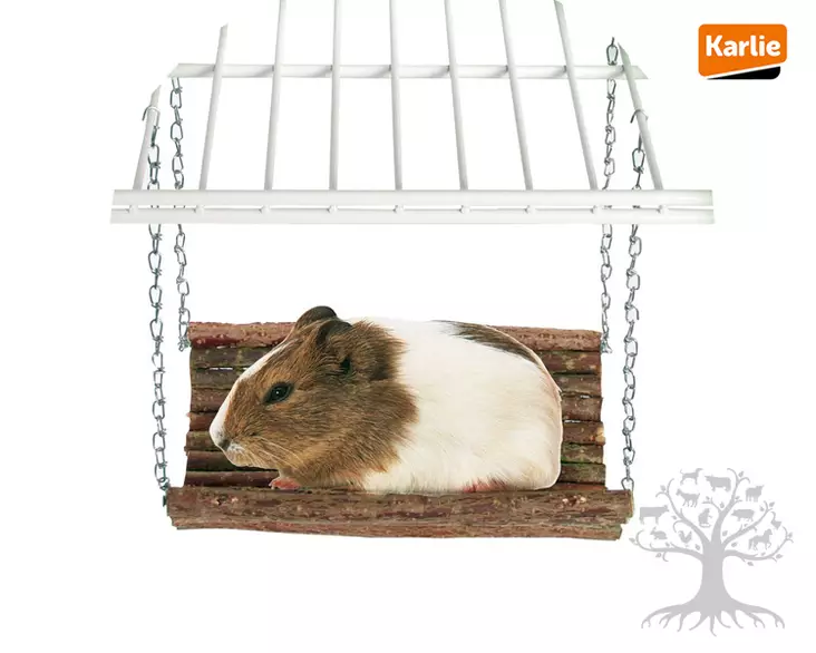 Karlie Jyrsijän Keinu 20x20cm - Activation - 530.0646 - 2