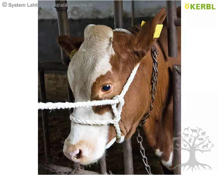Kerbl Rope Halter Sisal - Cattle Halter - 29556 - 1