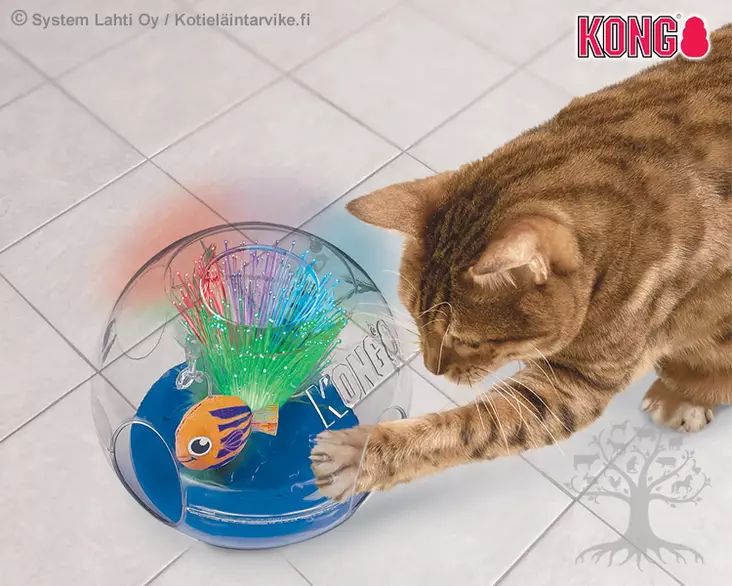 Kong Activation Toy Bat-A-Bout Glow Aquarium - Activation Toys - 788.0186 - 1