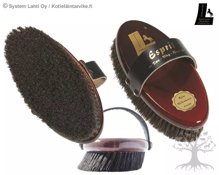 William Leistner Esprit Two-way 1c76 - WILLIAM LEISTNER Brushes - WL1c76 - 4