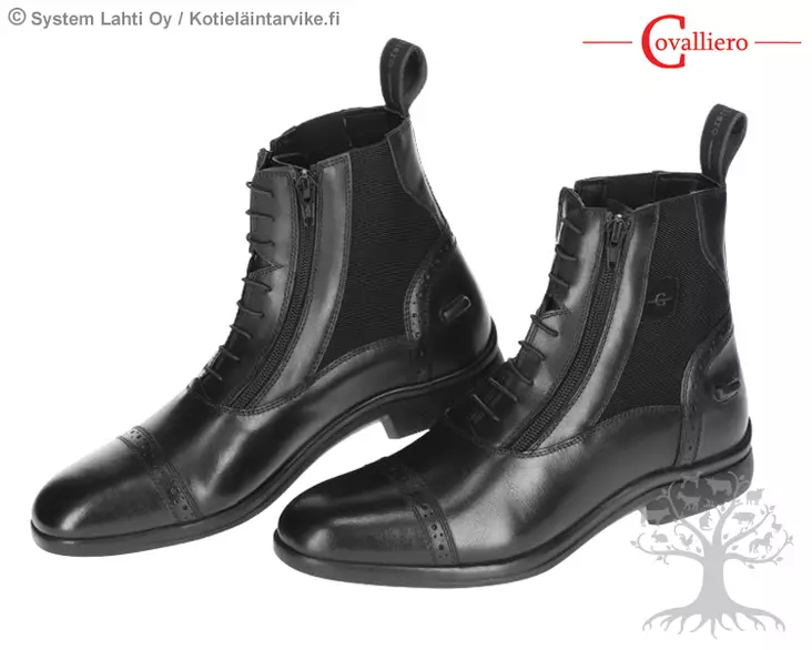 Covalliero Jodhpur Vienna - Jodhpur - 3228146 - 1