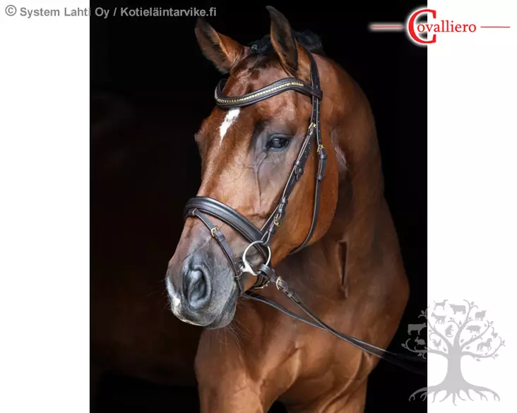 Covalliero Bridle Clincher Brown - Bridles - 3230196 - 1