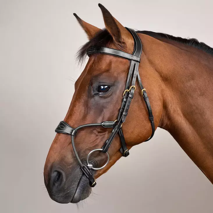 Dyon D Collection Bridle Elastic Hybrid Noseband - Dyon D Collection - DYABA6 - 1