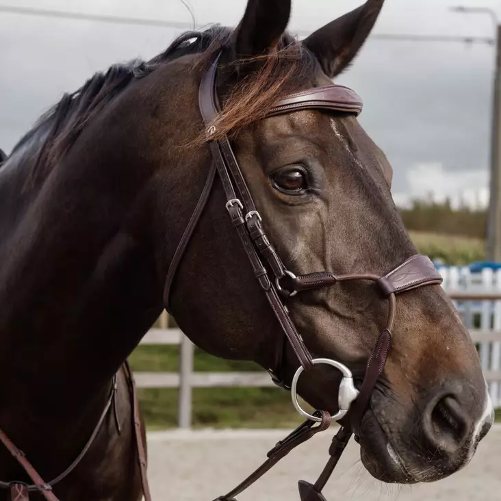 Dyon New English Collection Suitset Elastic Hybrid Noseband - Dyon New English - NEABA6 - 1