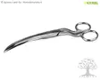 Kerbl Fetlock Shears - Claw Care Tools - 1647 - 3
