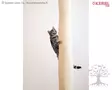 Kerbl Pet Cat Climbing Bag Climber - Cat Trees - 84457 - 3