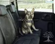 Kerbl Pet Car Safety Harness - Car Safety Harnesses - 80667 - 1