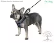 Kerbl Pet Car Safety Harness - Car Safety Harnesses - 80667 - 6
