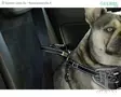 Kerbl Pet Car Safety Harness - Car Safety Harnesses - 80667 - 2